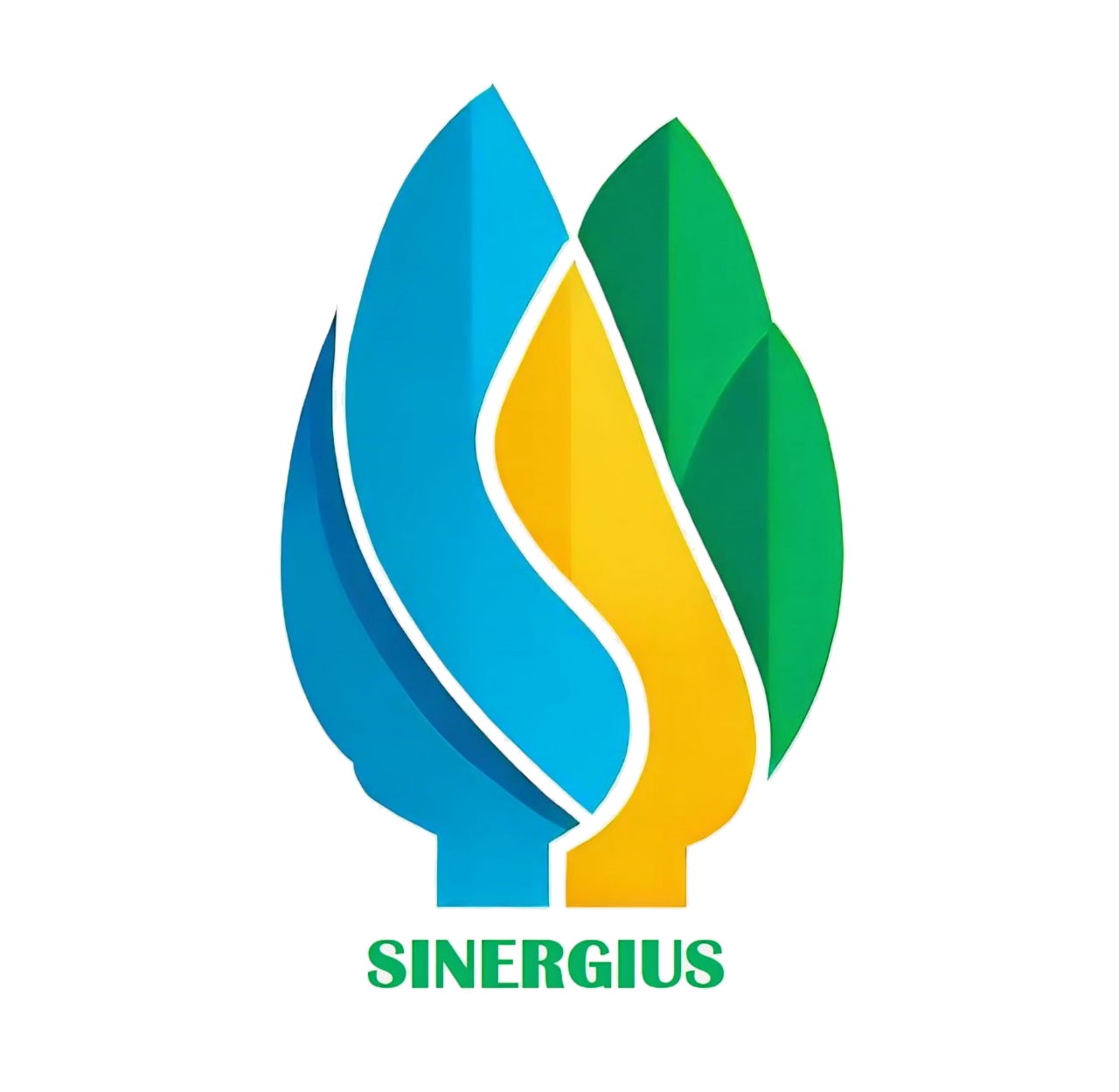 SINERGIUS