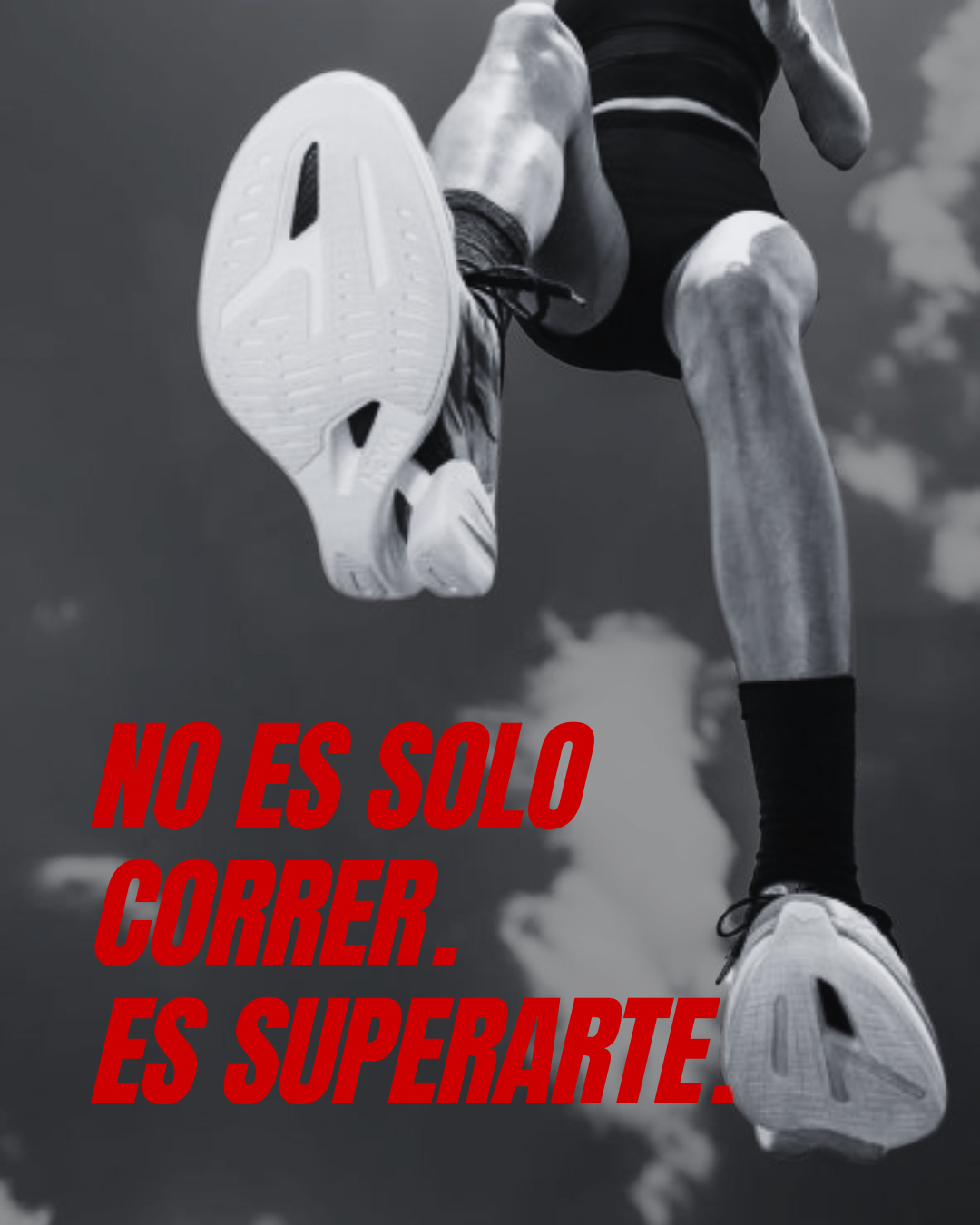 Imagen de la carrera
