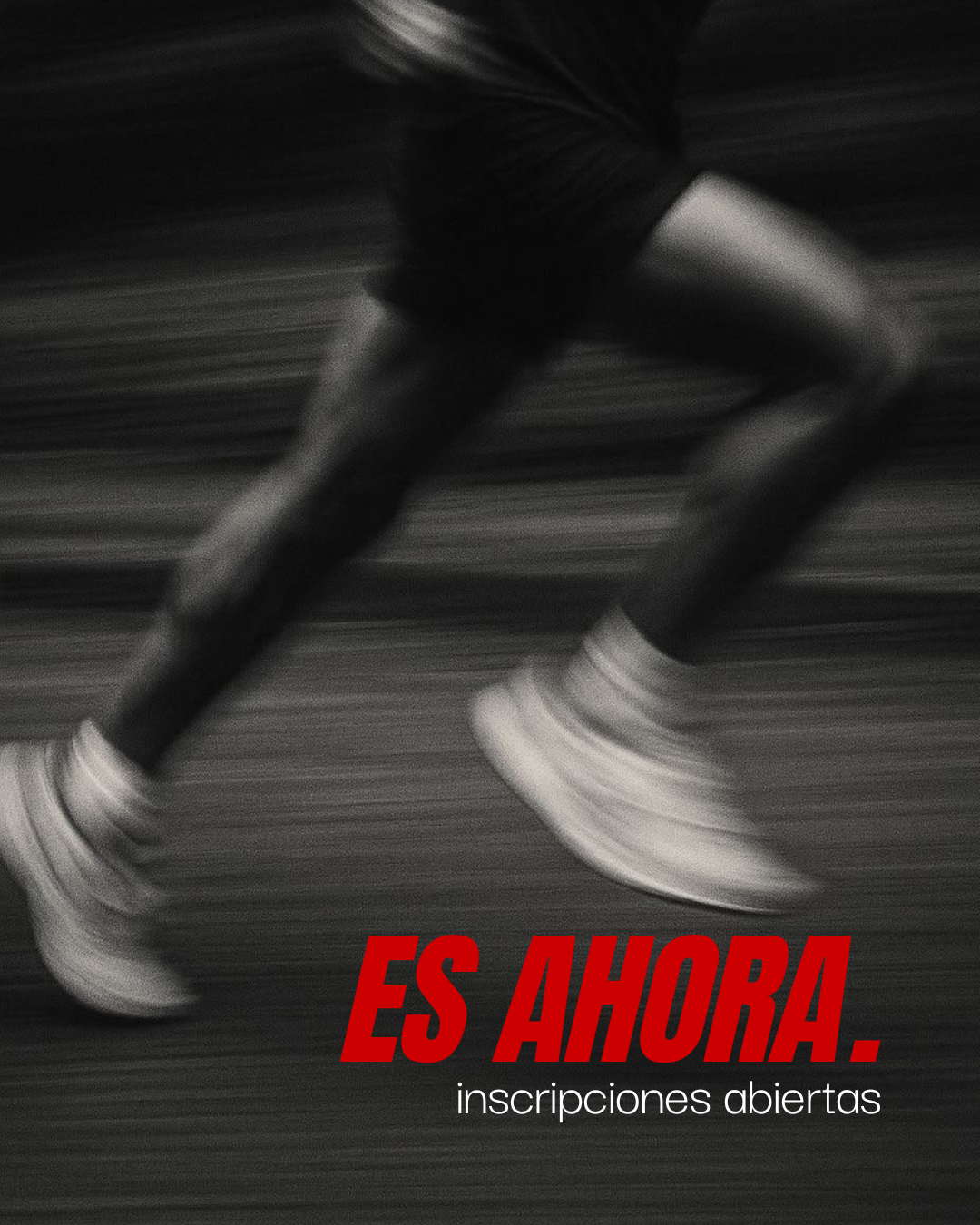Imagen de la carrera