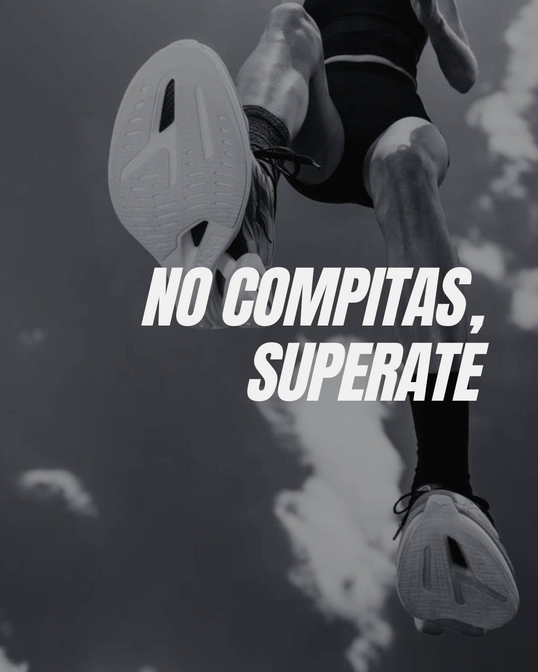 Imagen de la carrera